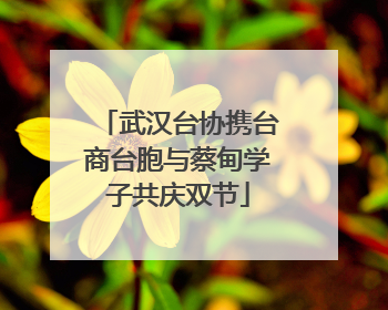 武汉台协携台商台胞与蔡甸学子共庆双节