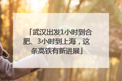 武汉出发1小时到合肥、3小时到上海，这条高铁有新进展