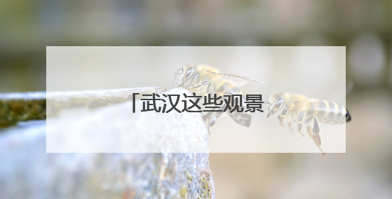 武汉这些观景台，封神！