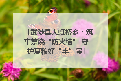 武陟县大虹桥乡：筑牢禁烧“防火墙” 守护夏粮好“丰”景
