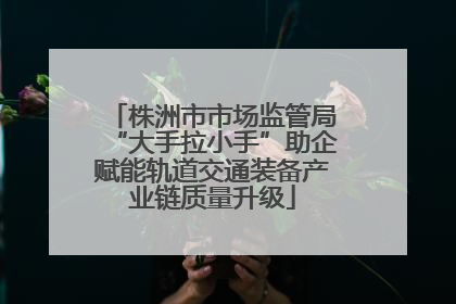 株洲市市场监管局“大手拉小手”助企赋能轨道交通装备产业链质量升级