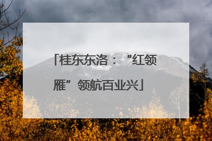 桂东东洛：“红领雁”领航百业兴
