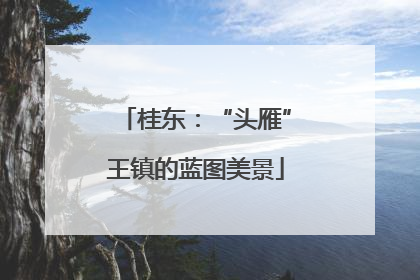 桂东：“头雁”王镇的蓝图美景