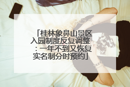桂林象鼻山景区入园制度反复调整：一年不到又恢复实名制分时预约