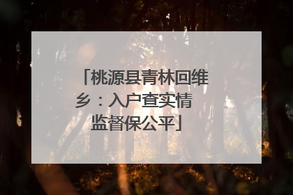 桃源县青林回维乡：入户查实情 监督保公平