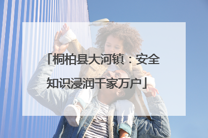桐柏县大河镇：安全知识浸润千家万户