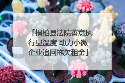 桐柏县法院善意执行显温度 助力小微企业追回拖欠租金