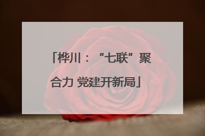 桦川：“七联”聚合力 党建开新局