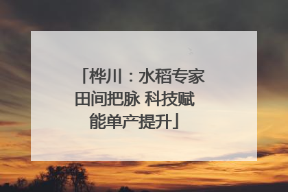 桦川：水稻专家田间把脉 科技赋能单产提升