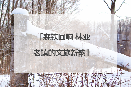 森铁回响 林业老镇的文旅新韵