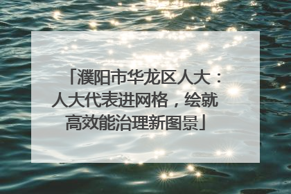濮阳市华龙区人大：人大代表进网格，绘就高效能治理新图景