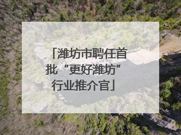 潍坊市聘任首批“更好潍坊”行业推介官