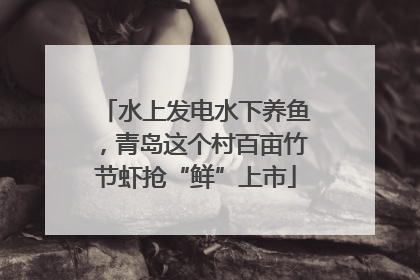 水上发电水下养鱼，青岛这个村百亩竹节虾抢“鲜”上市
