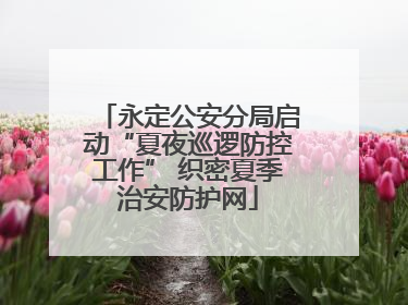 永定公安分局启动“夏夜巡逻防控工作” 织密夏季治安防护网