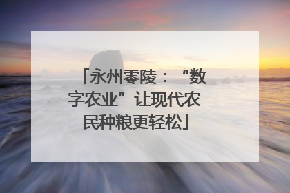 永州零陵：“数字农业”让现代农民种粮更轻松