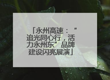 永州高速：“追光同心行，活力永州东”品牌建设闪亮展演