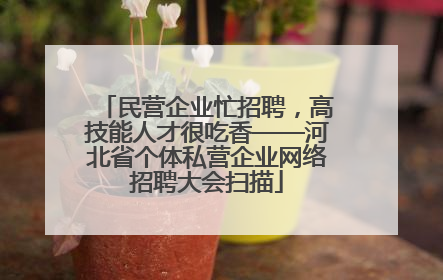 民营企业忙招聘，高技能人才很吃香——河北省个体私营企业网络招聘大会扫描