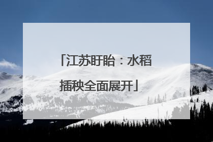 江苏盱眙：水稻插秧全面展开