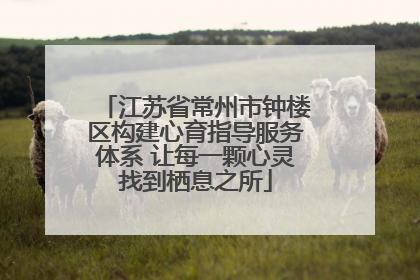 江苏省常州市钟楼区构建心育指导服务体系 让每一颗心灵找到栖息之所