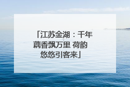 江苏金湖：千年藕香飘万里 荷韵悠悠引客来