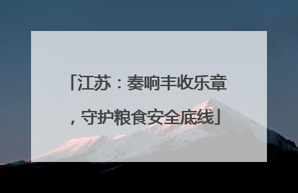 江苏：奏响丰收乐章，守护粮食安全底线