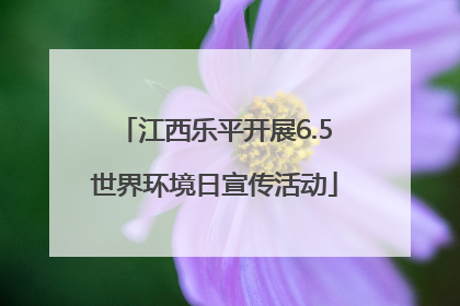 江西乐平开展6.5世界环境日宣传活动