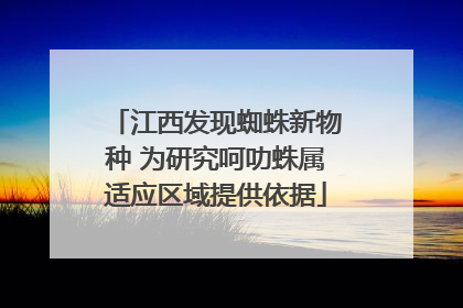 江西发现蜘蛛新物种 为研究呵叻蛛属适应区域提供依据