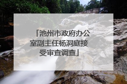 池州市政府办公室副主任杨洞庭接受审查调查