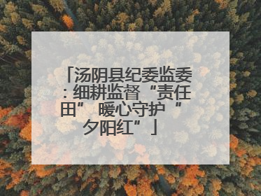汤阴县纪委监委：细耕监督“责任田” 暖心守护“夕阳红”