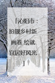沁阳市：扮靓乡村新画卷 绘就宜居好风光