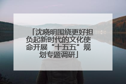 沈晓明围绕更好担负起新时代的文化使命开展“十五五”规划专题调研