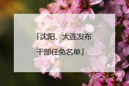 沈阳、大连发布干部任免名单