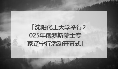 沈阳化工大学举行2025年俄罗斯院士专家辽宁行活动开幕式