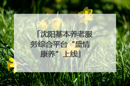 沈阳基本养老服务综合平台“盛情康养”上线