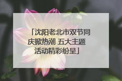 沈阳老北市双节同庆掀热潮 五大主题活动精彩纷呈
