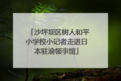 沙坪坝区树人和平小学校小记者走进日本驻渝领事馆