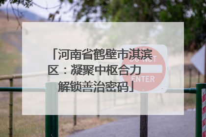 河南省鹤壁市淇滨区：凝聚中枢合力 解锁善治密码