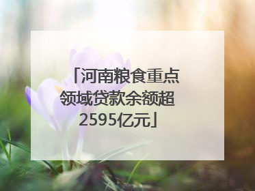 河南粮食重点领域贷款余额超2595亿元