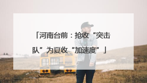 河南台前：抢收“突击队”为夏收“加速度”