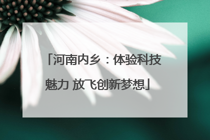 河南内乡：体验科技魅力 放飞创新梦想