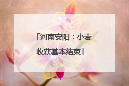河南安阳：小麦收获基本结束