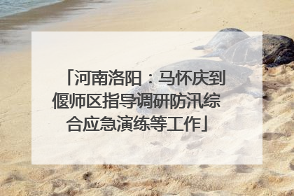 河南洛阳：马怀庆到偃师区指导调研防汛综合应急演练等工作