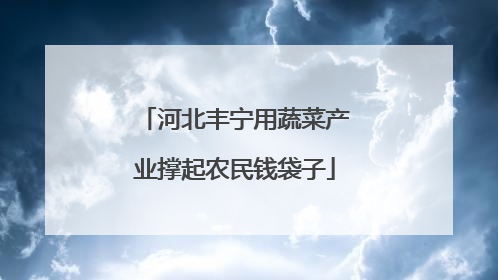 河北丰宁用蔬菜产业撑起农民钱袋子