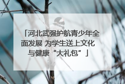 河北武强护航青少年全面发展 为学生送上文化与健康“大礼包”