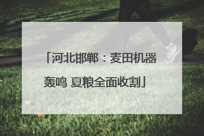 河北邯郸：麦田机器轰鸣 夏粮全面收割