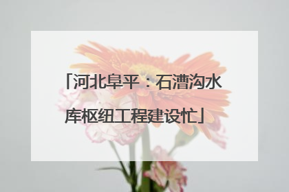 河北阜平：石漕沟水库枢纽工程建设忙
