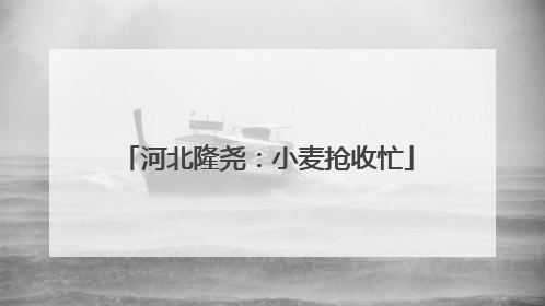 河北隆尧：小麦抢收忙