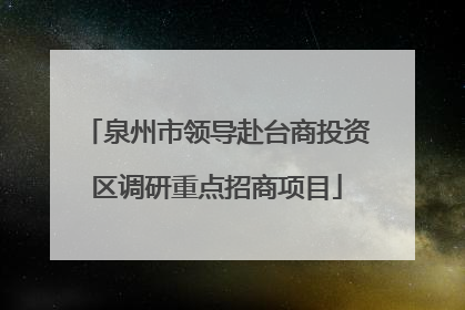 泉州市领导赴台商投资区调研重点招商项目