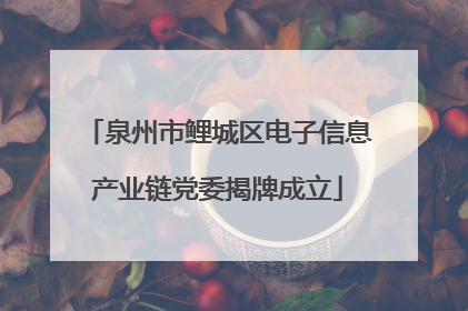 泉州市鲤城区电子信息产业链党委揭牌成立