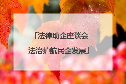 法律助企座谈会 法治护航民企发展
